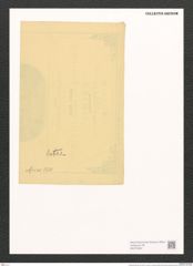 Surirella apiae Witt. (de-Toni-Nr.: Genus 53, Species 2295) Zeichnungen Sammlung Grunow (NHMW-BOT-W0372849)